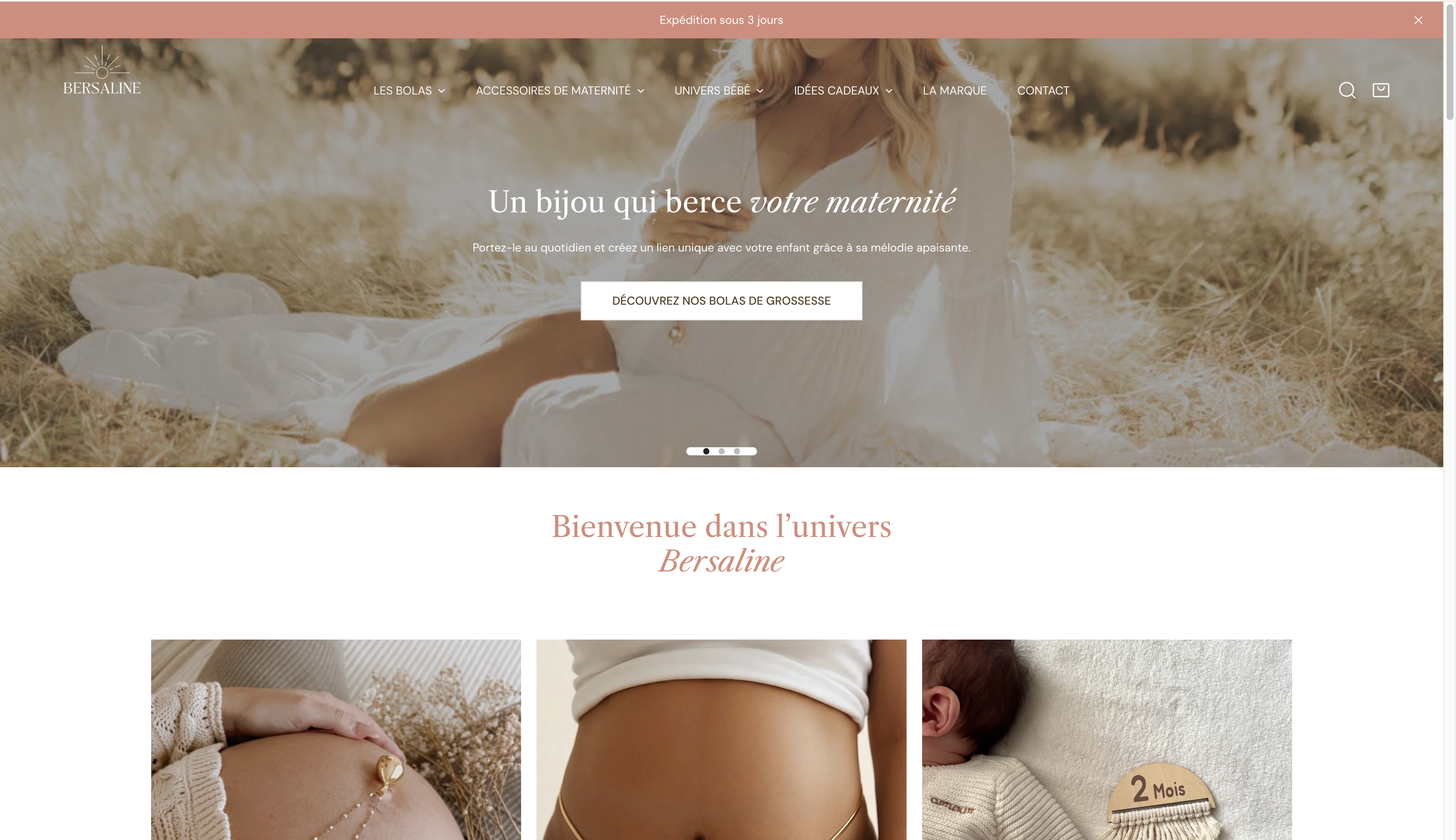 Site internet Bersaline